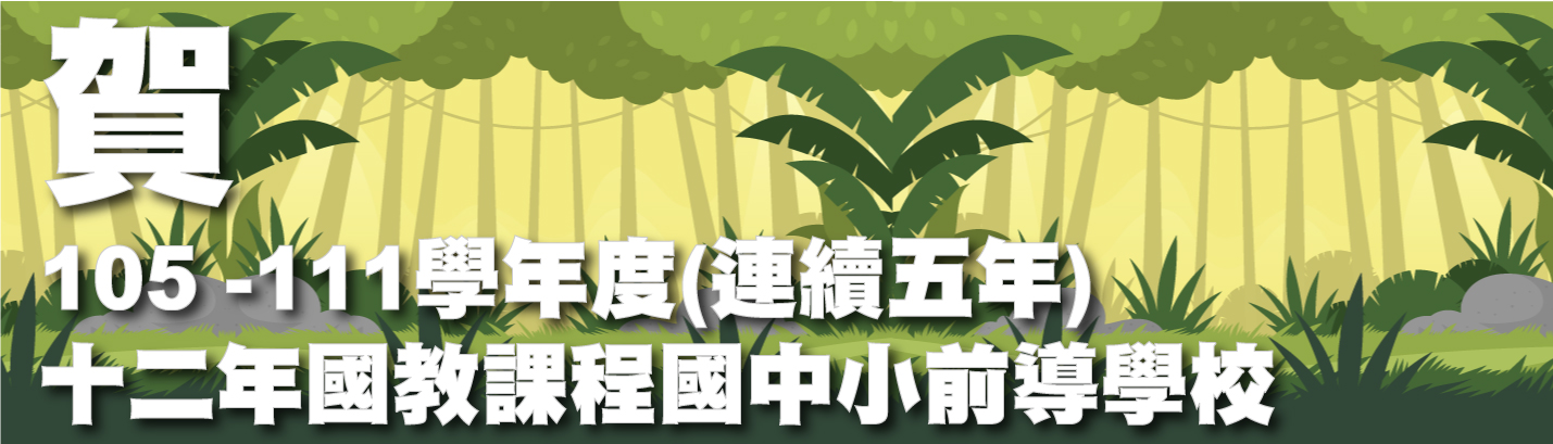 108、109、110學年度十二年國教課程國中小前導學校